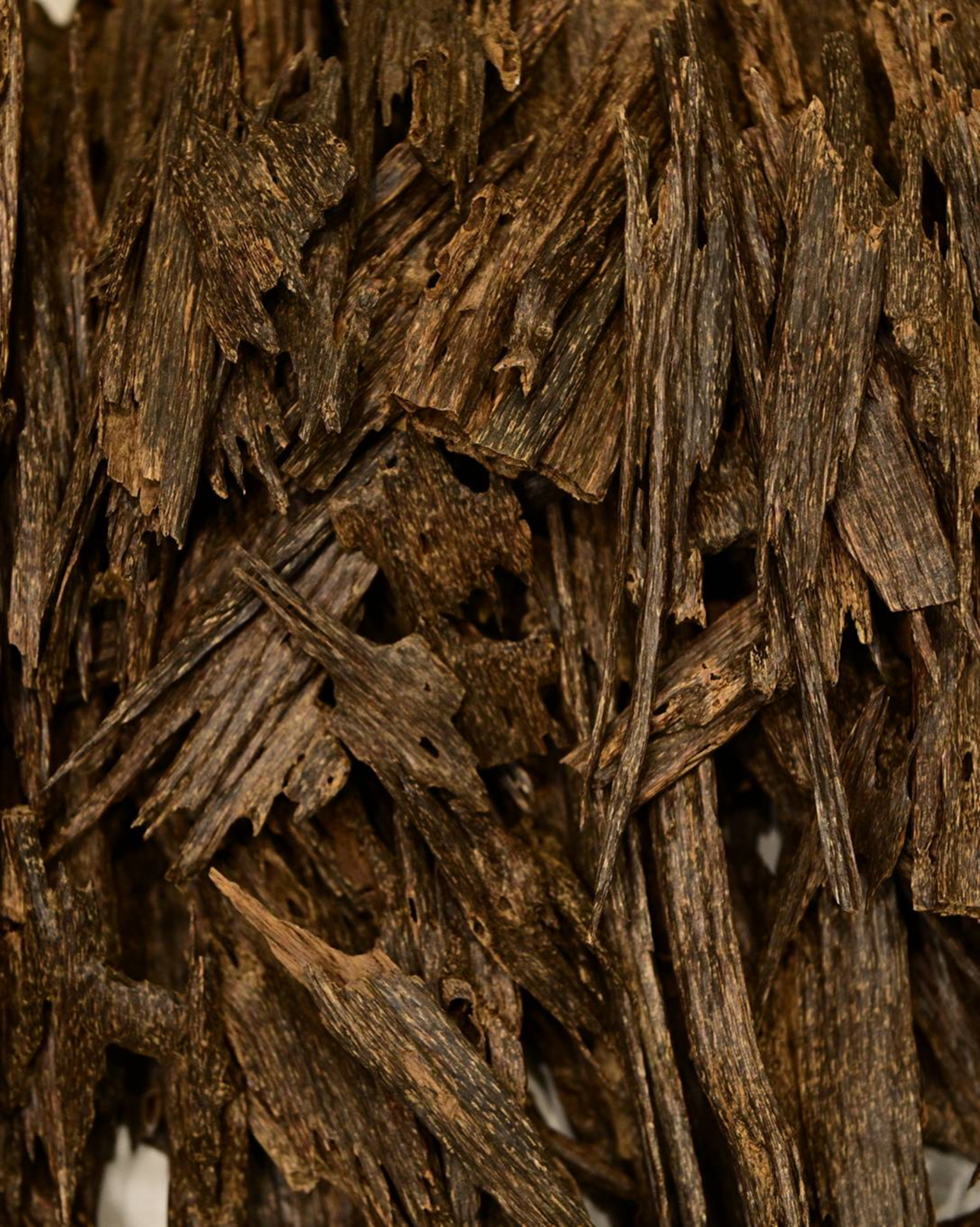 Oudh