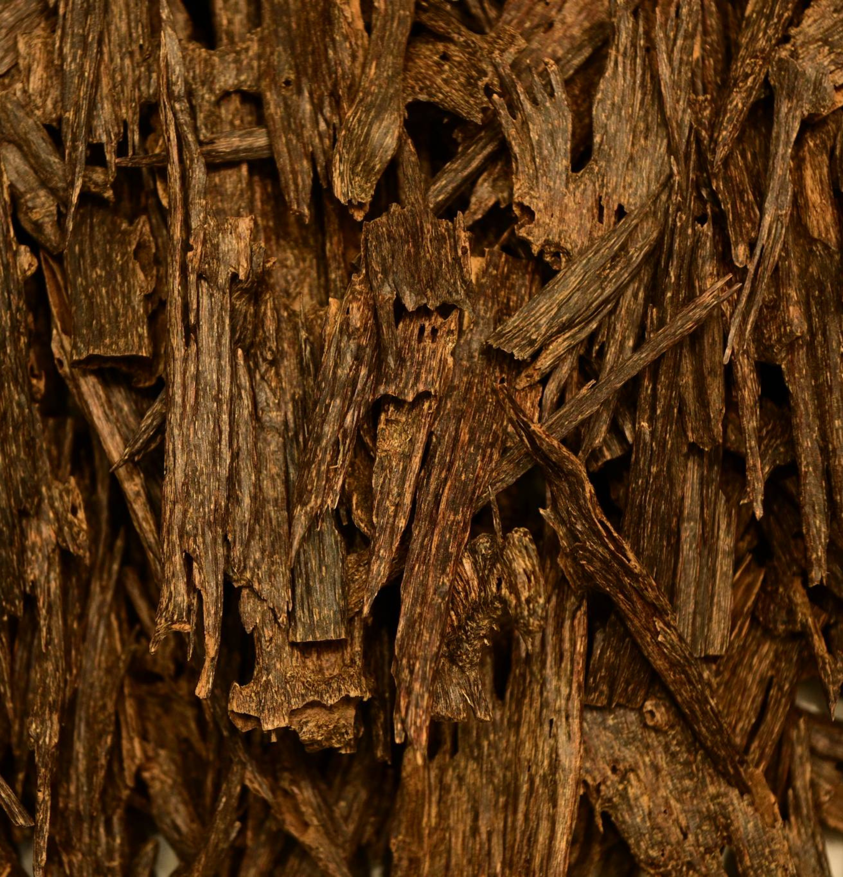 Oudh Hindi Majed Sabah