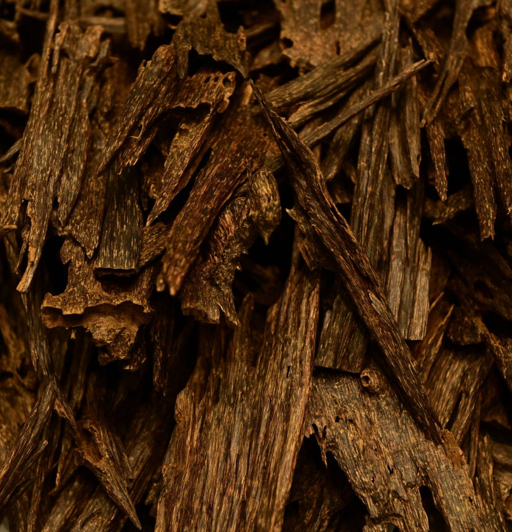 Oudh Hindi V.I.P